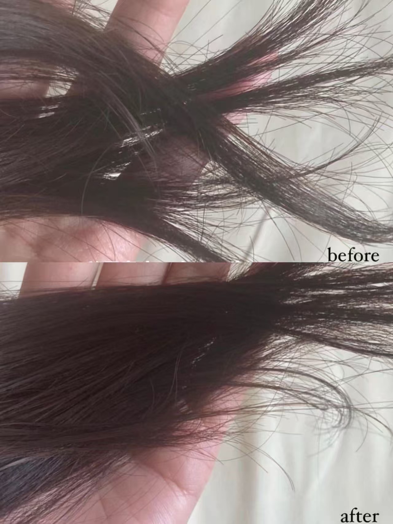 706c02b377b9374d03eac0a82bbaf557