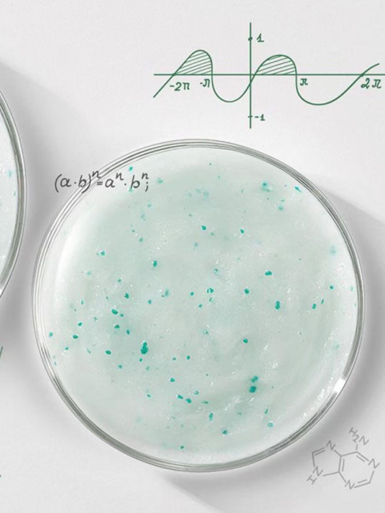 040d1c3fcce1670b5afc11d8259f4ad9