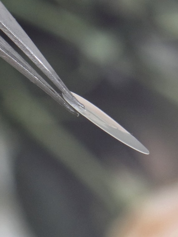 48cef8de648021b6535a2c447a900f3b