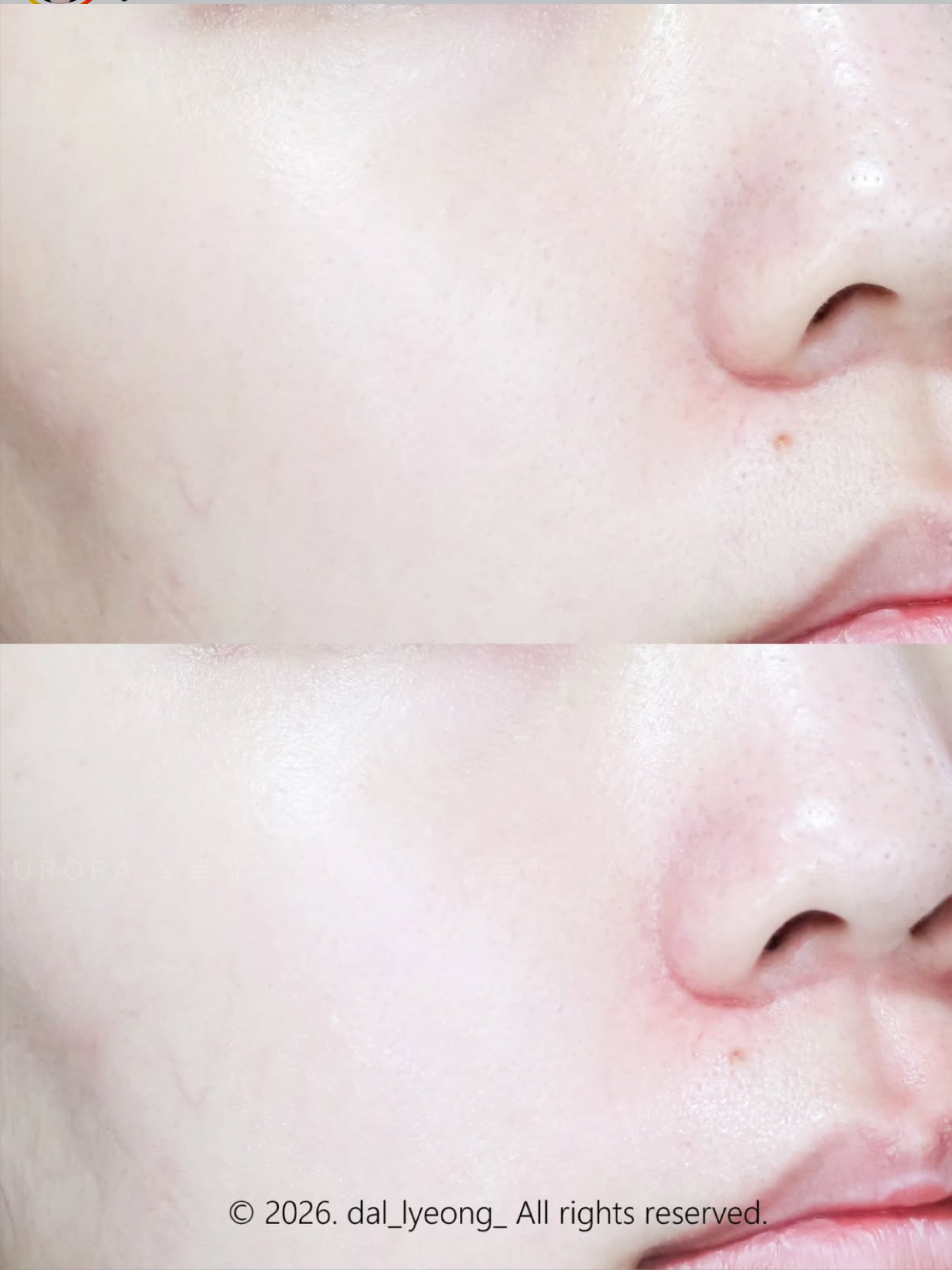 C5E07B1E-1B74-4D74-8D27-2DD24F429755