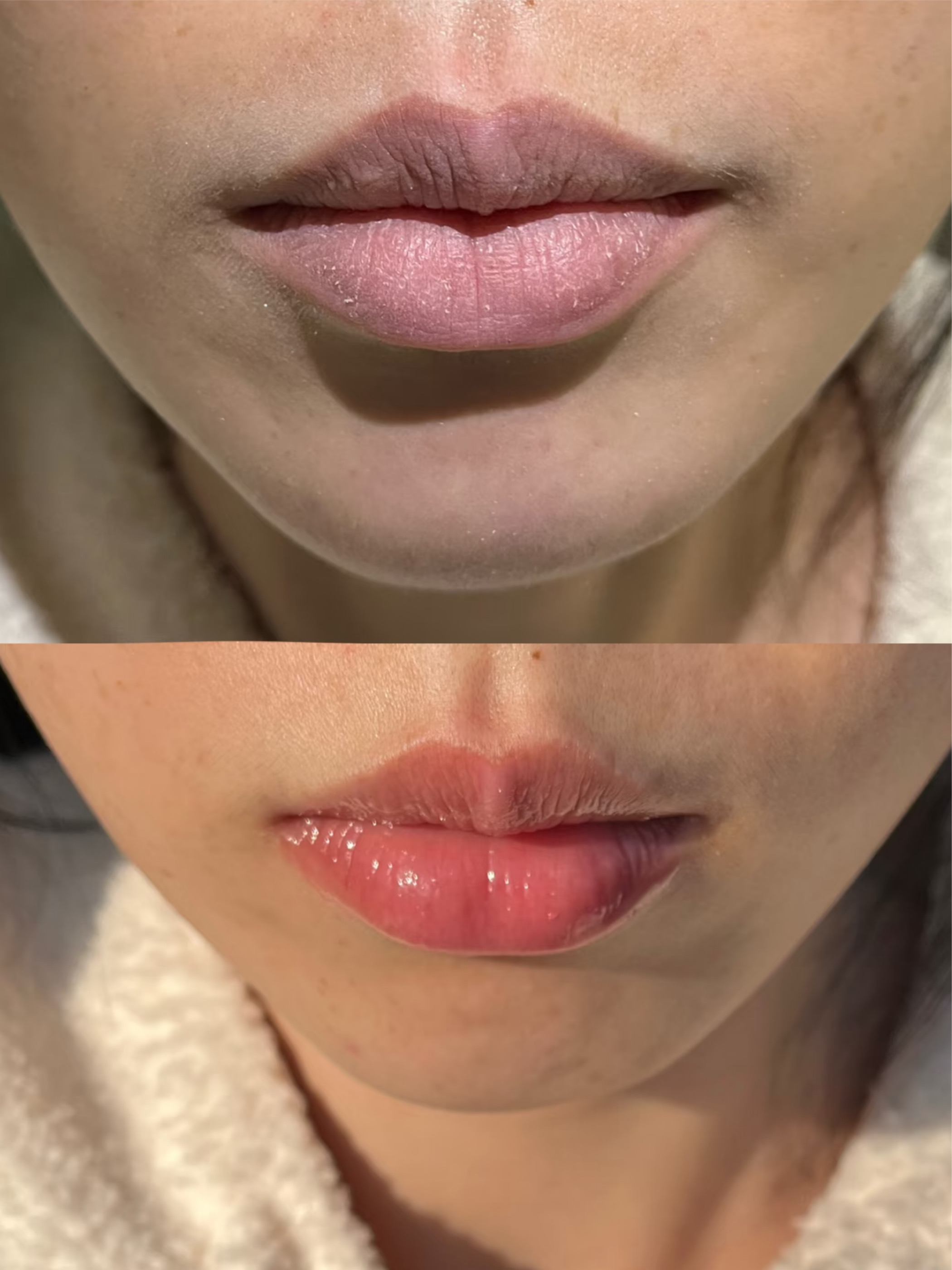 66788316-6D68-4FDD-A889-B3617E3B7E5B