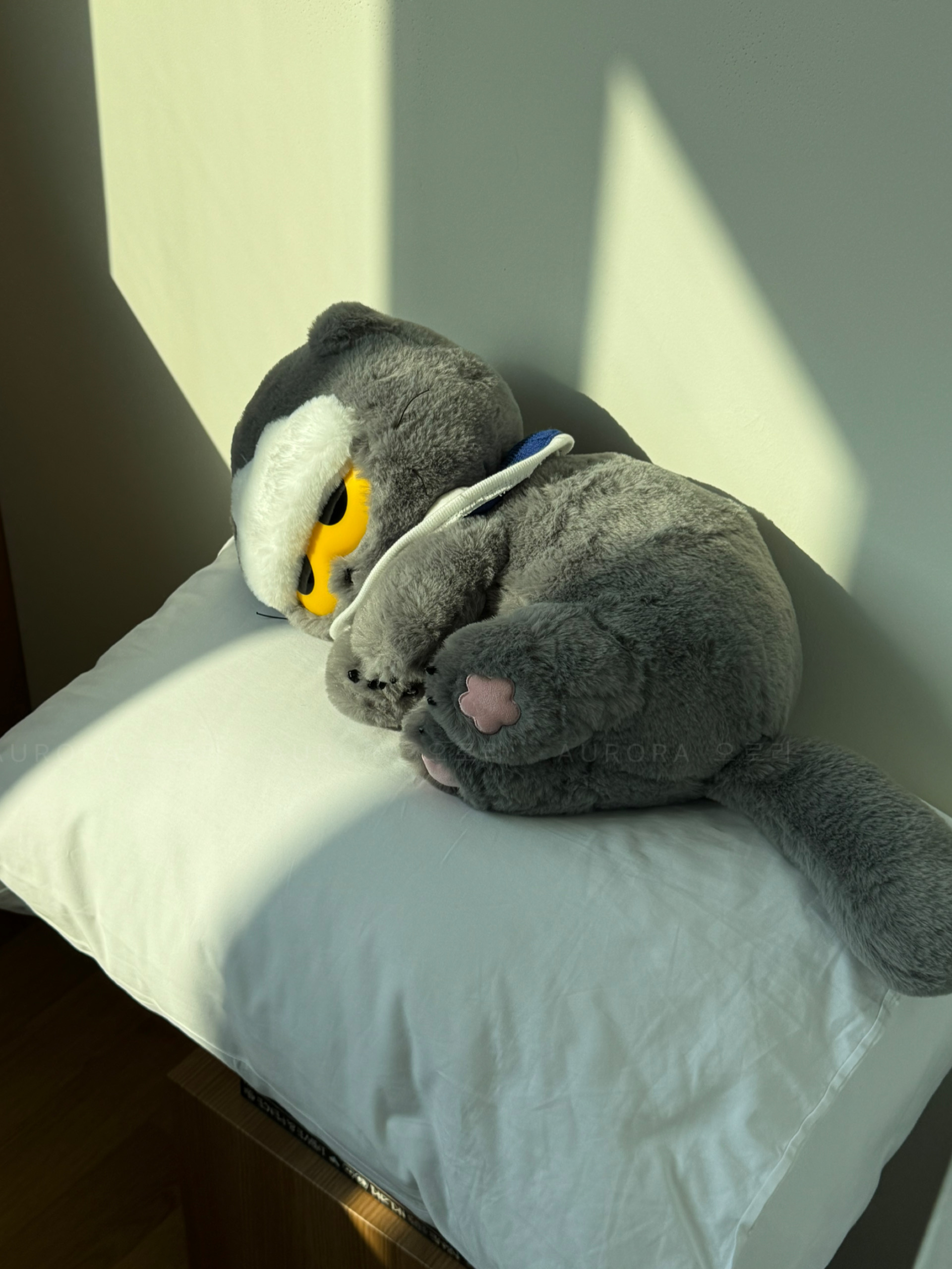 8FD1B920-ECDC-4DDB-B962-492E39A4B2A4