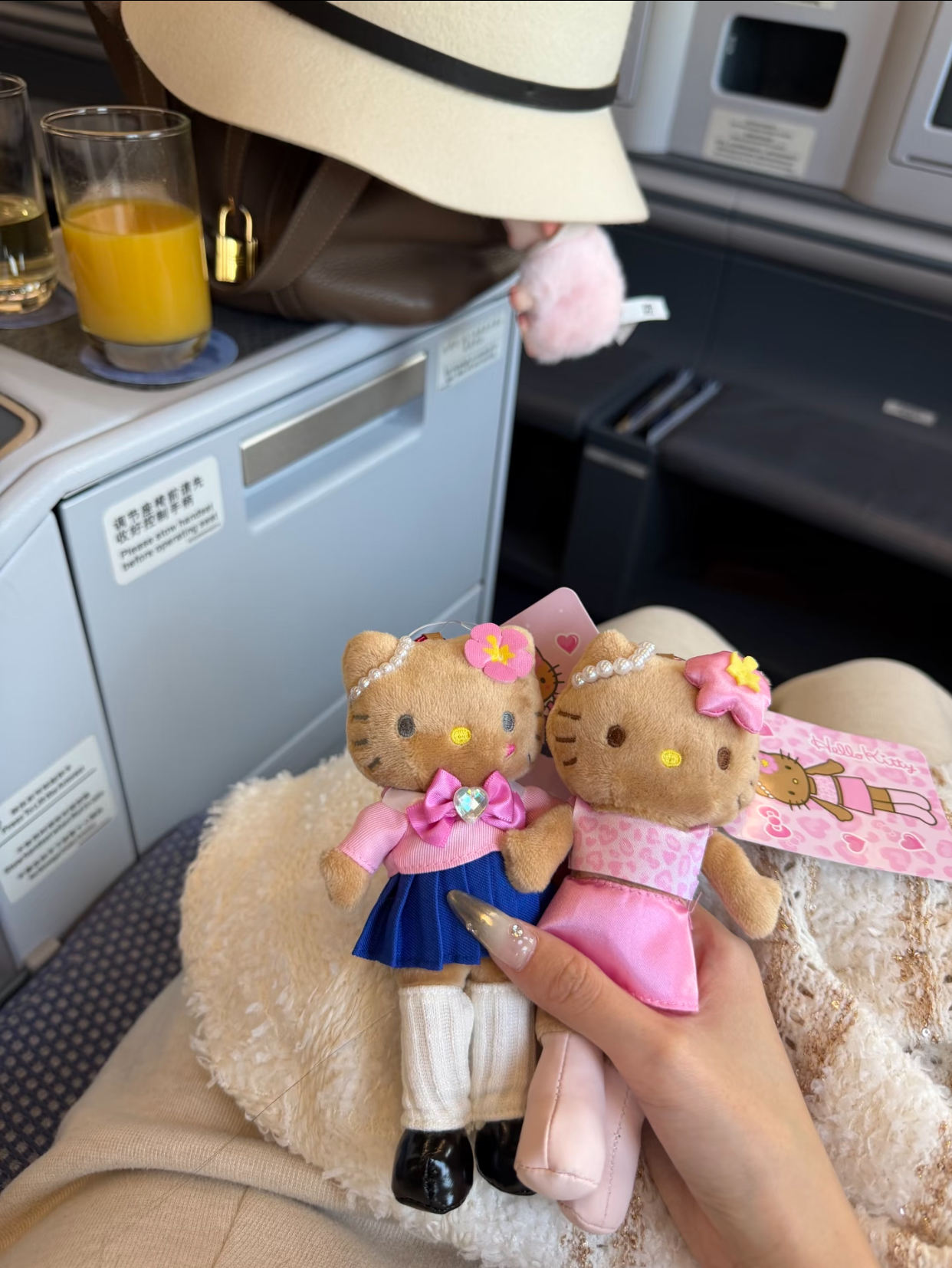 68338b8e2904b053da3d0e2a50499be0