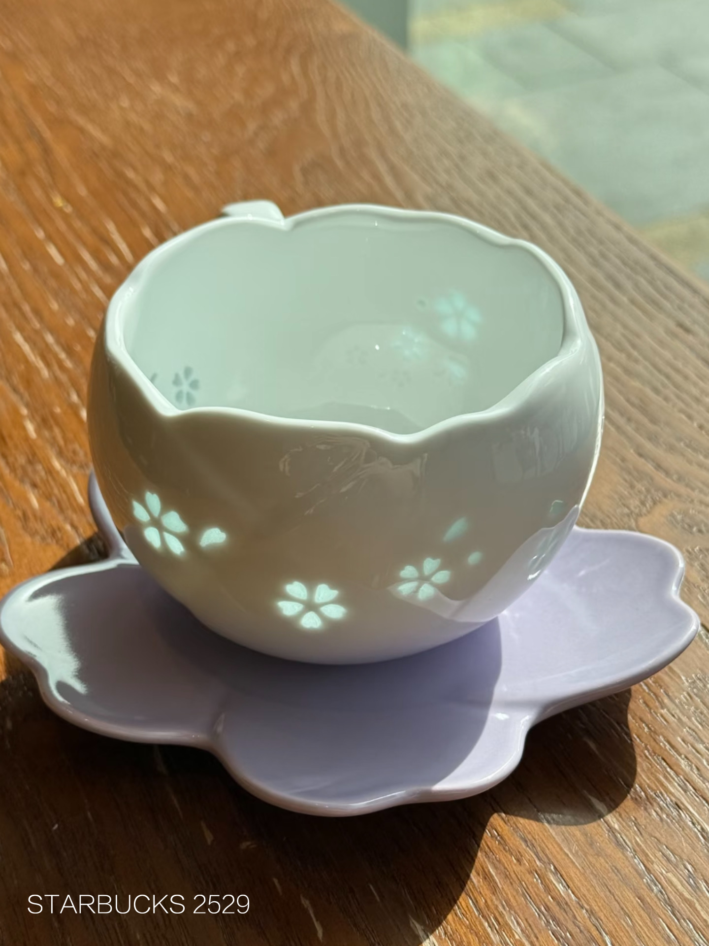 d668edee5325caced64888e271c92809