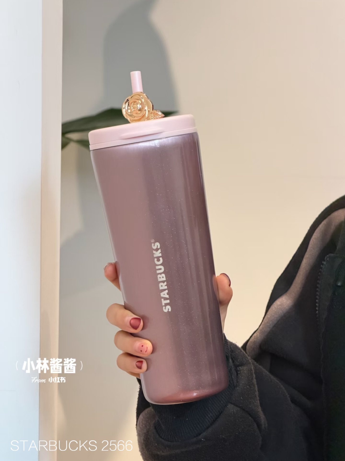 366ca669bed29a2b4c99caced1e85022