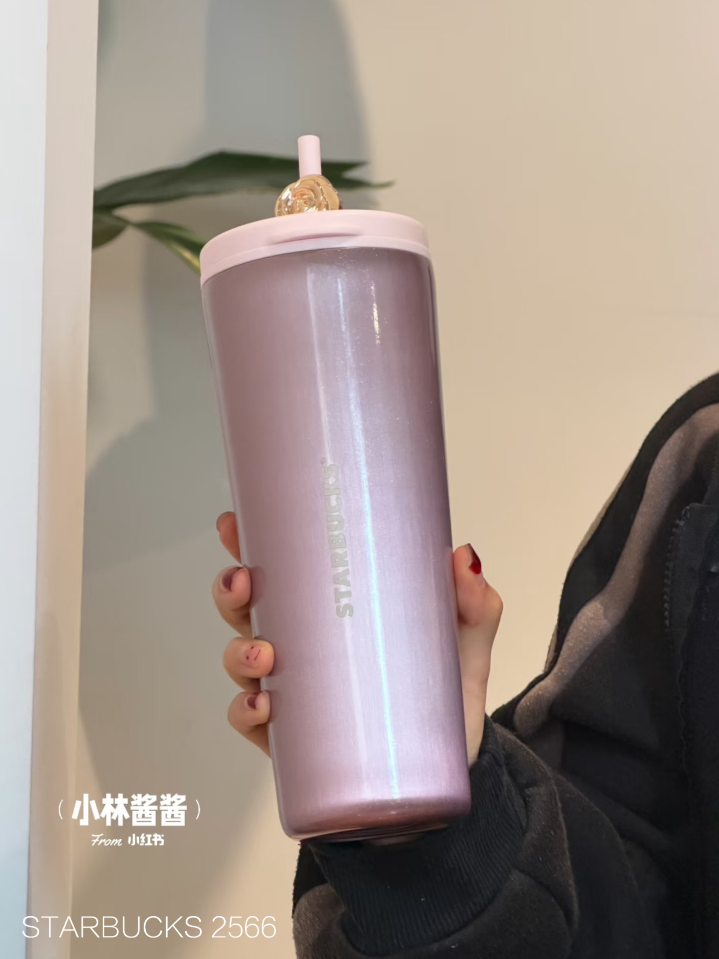 d98069dff2b484ca4f82c1fe29c5658a