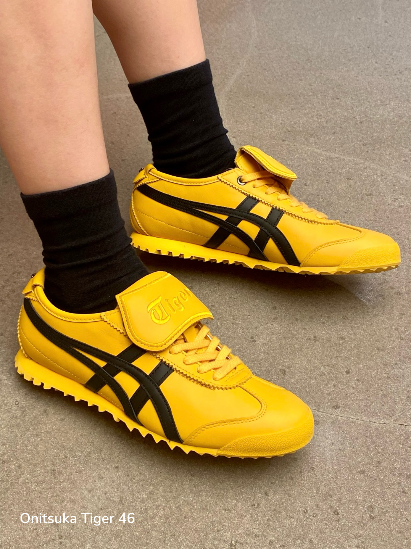 241229a7bc7c539e3212605f1ceb02b2