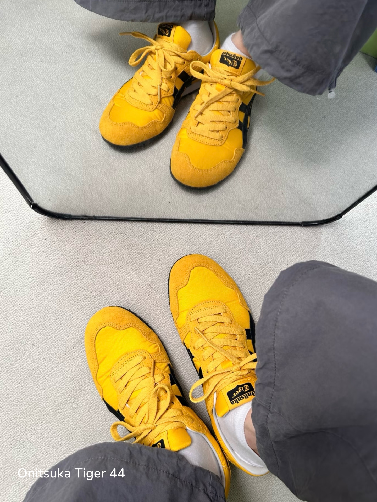 2900cee385b2e22a14dfb705a255714b