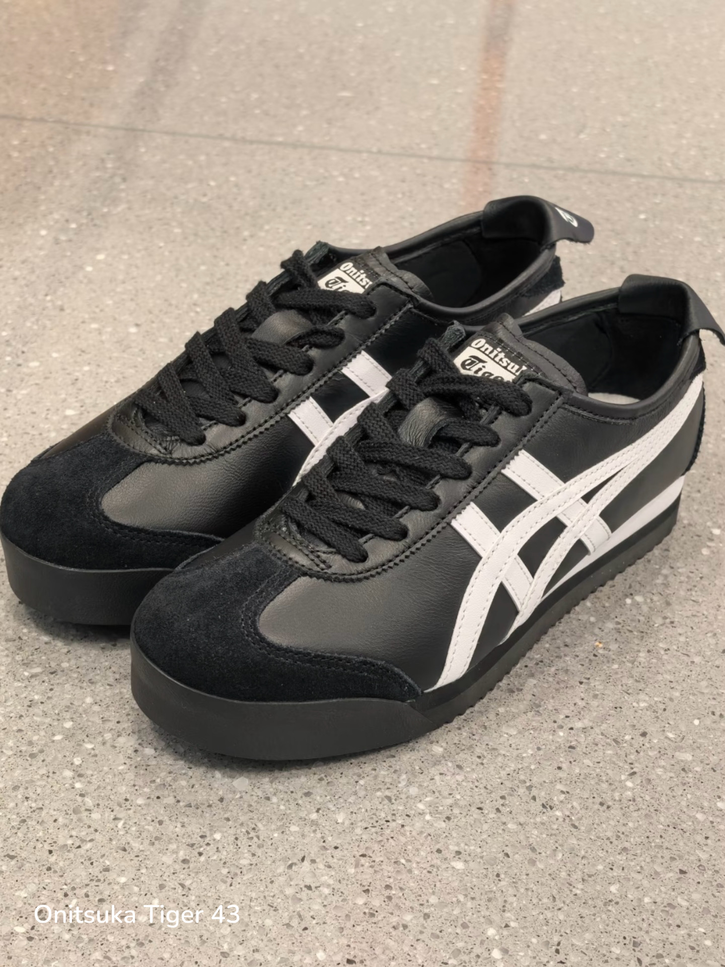 f95ede033a362ca5d9247e56a2113547