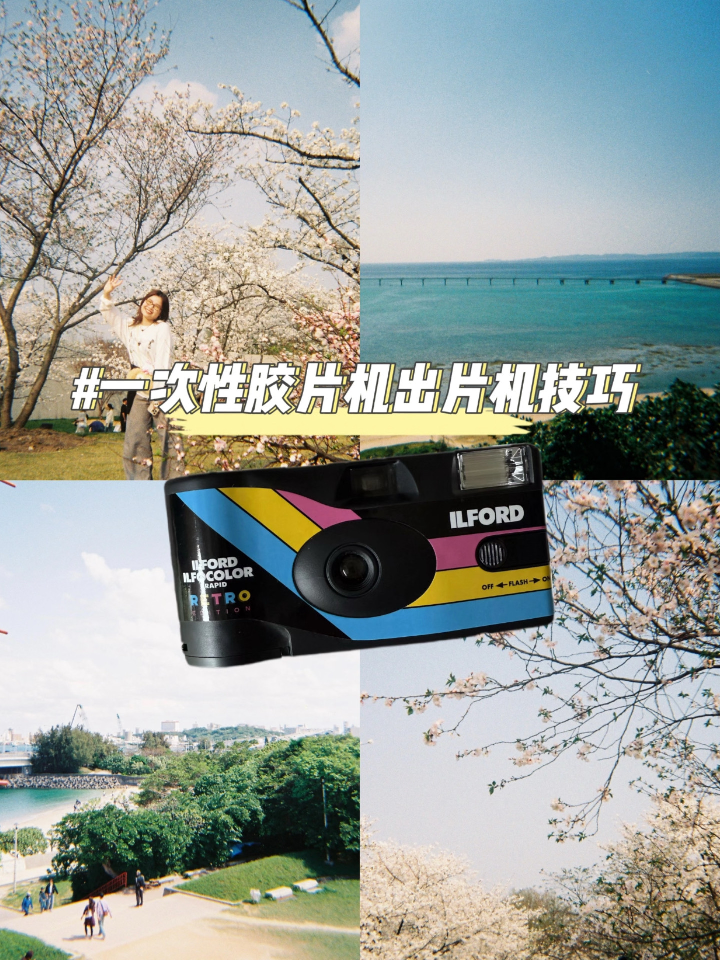 6a3fe193945b015240274c65e5b7dd5b