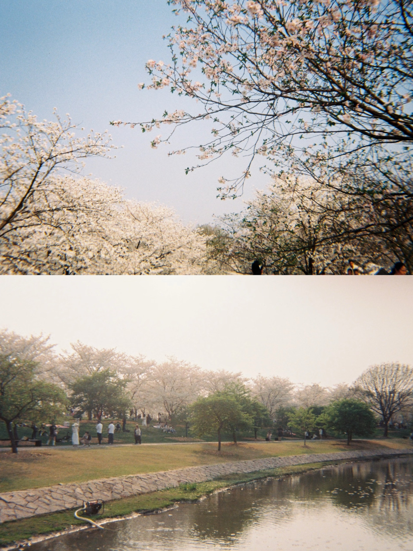 7f9aa9192de349857d6b3688efeed8b6