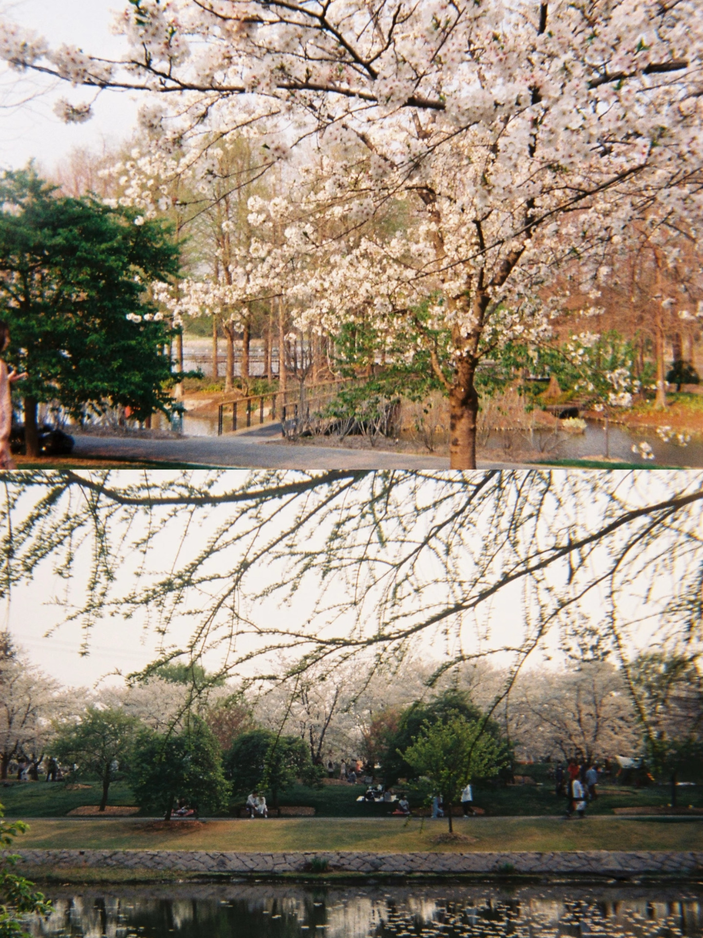 4b338699ec57f71cf15177167b51bc43