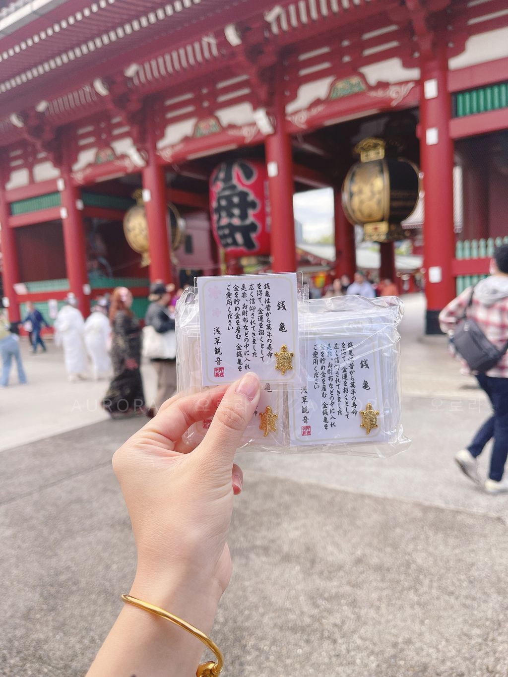 8E543DF0-DA91-4D51-8CA2-7DBD1265B000