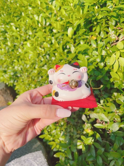 FDE220BD-F809-4A61-9D8D-026AFC8AB4FD