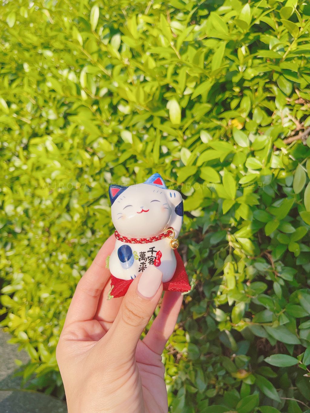 C11E1C29-1B8E-4161-9FB7-DEC03E0EB0B6