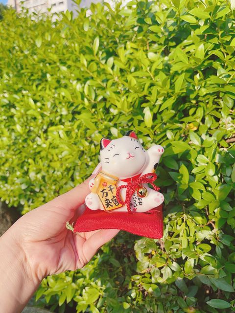 33CAAC7D-55DB-4FA2-A7FE-8896CDBC4EB9