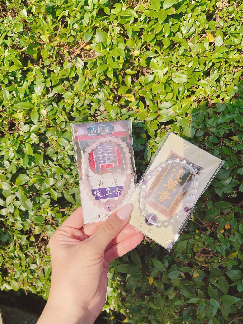 379A5792-147E-499A-A5FC-16027F5A2103