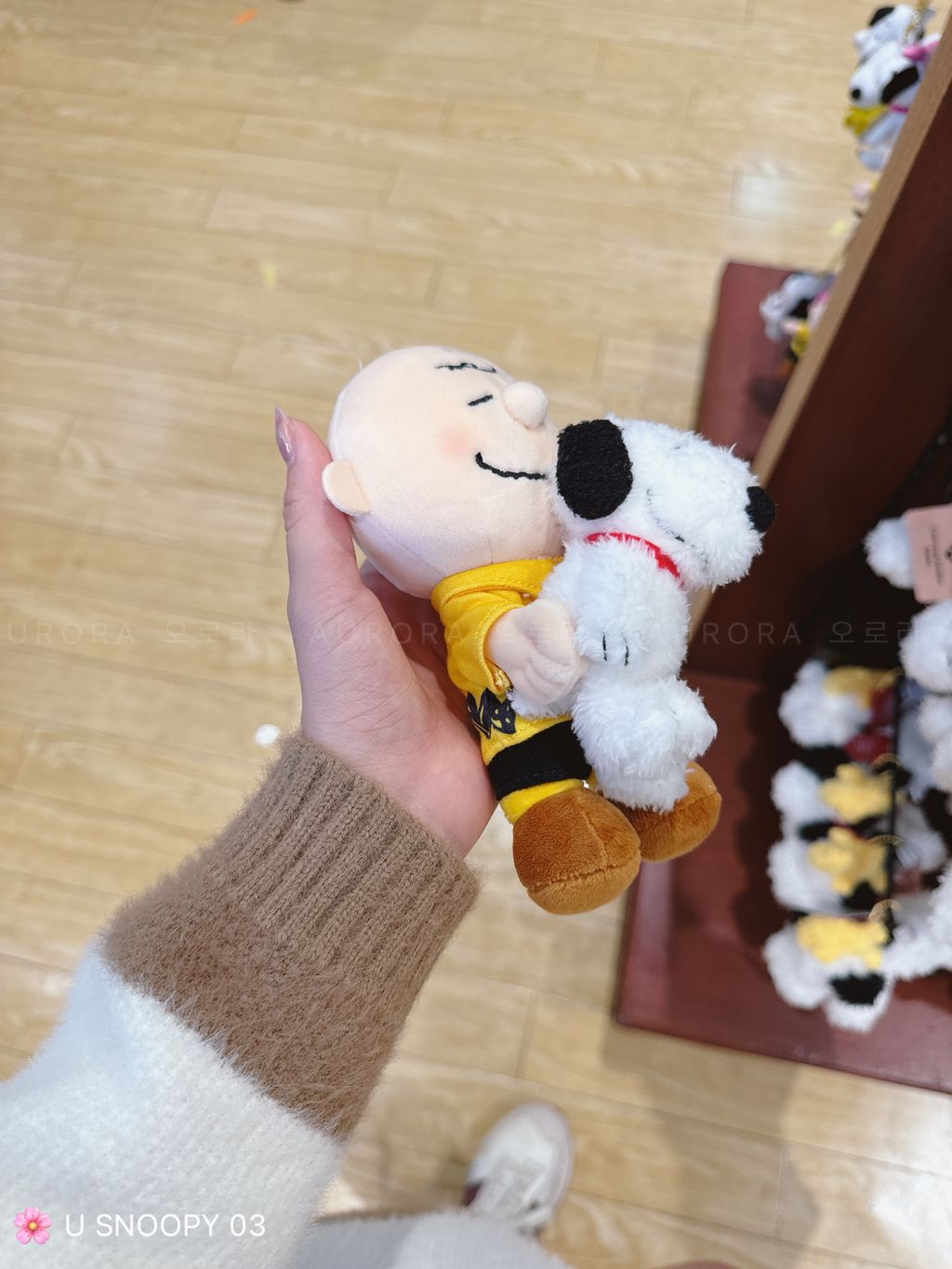 d842913a1fcd35cfaa8ccd7ba1b35b9c