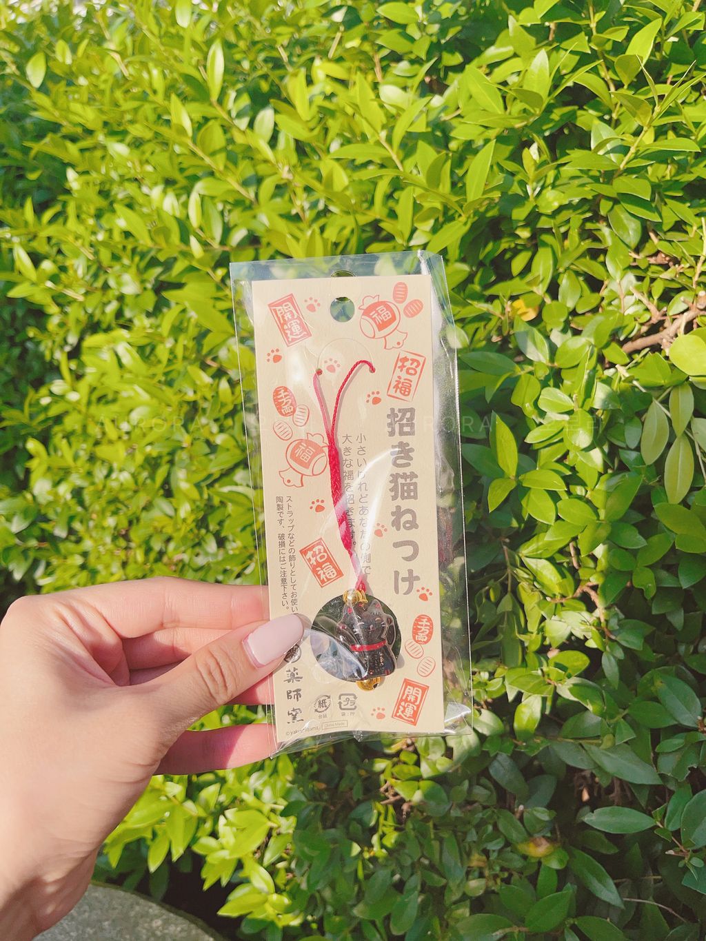 eecbd32ca8274387d6f084cd3022ca2f