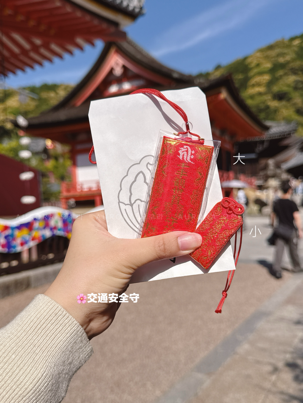 d80379e7fa27ba20b03414f579cccf9b