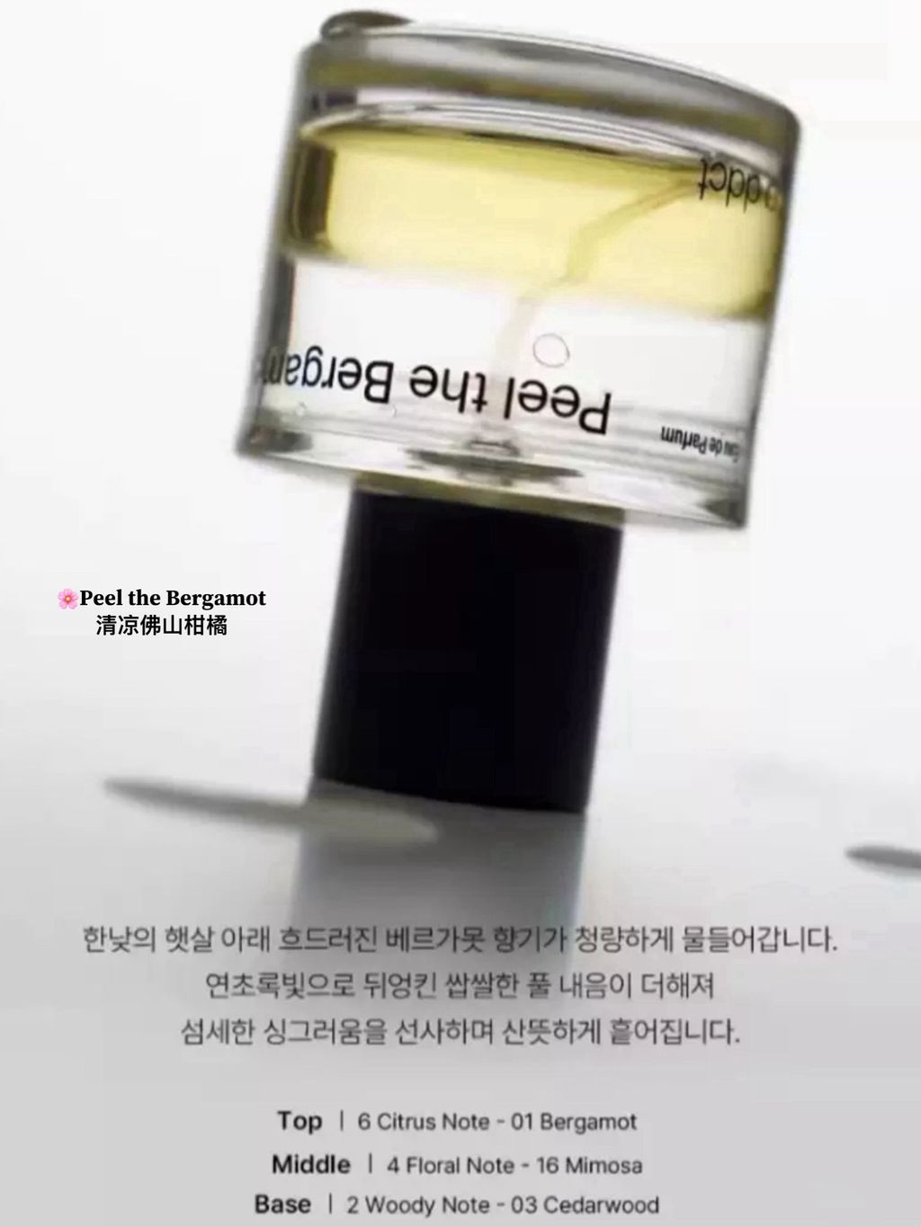 e60c81c4af84984b566162045b8c51ea