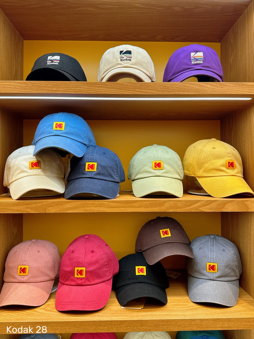 d424341c41669d34a756f70db50b3739