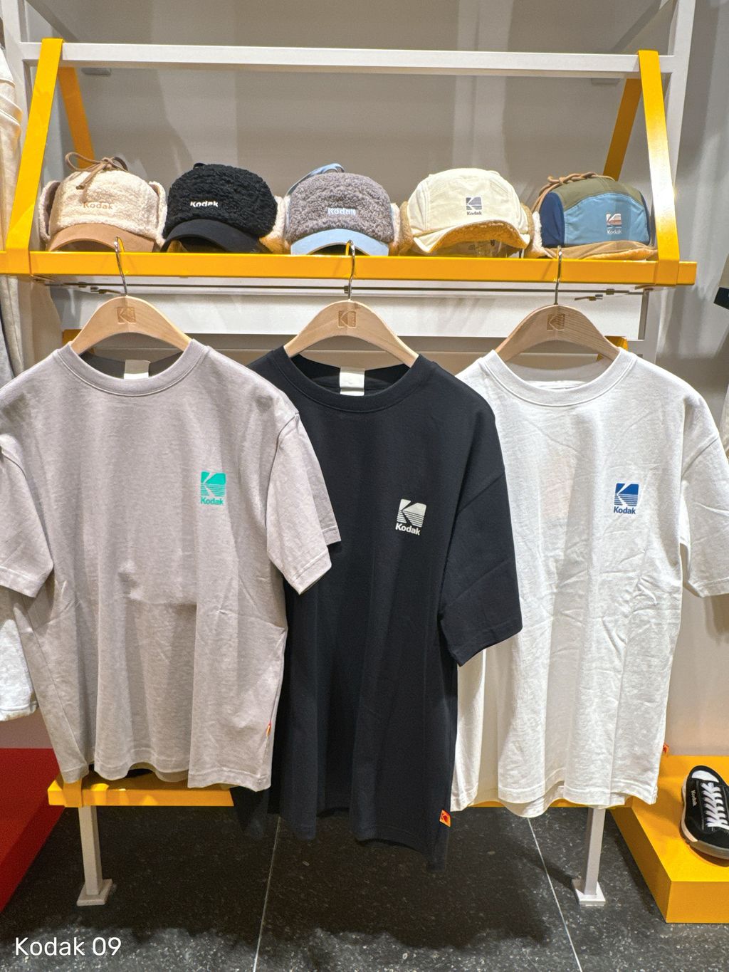 83ce72e034a857df95078fd7d5db2d02