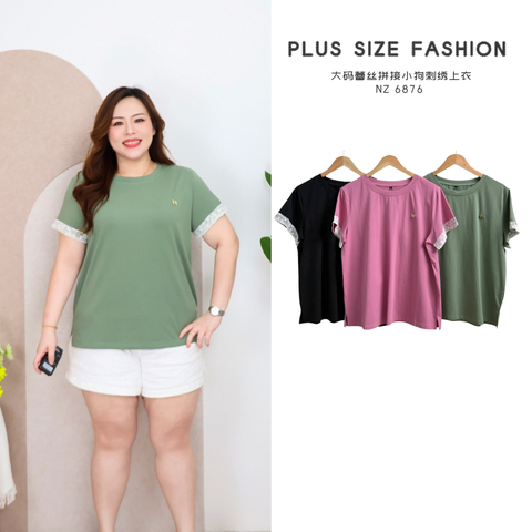 NZ  6876 -P