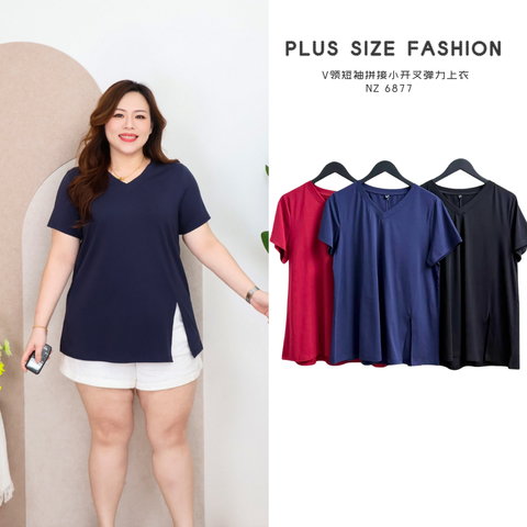 NZ 6877-P