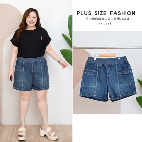 NZ L563