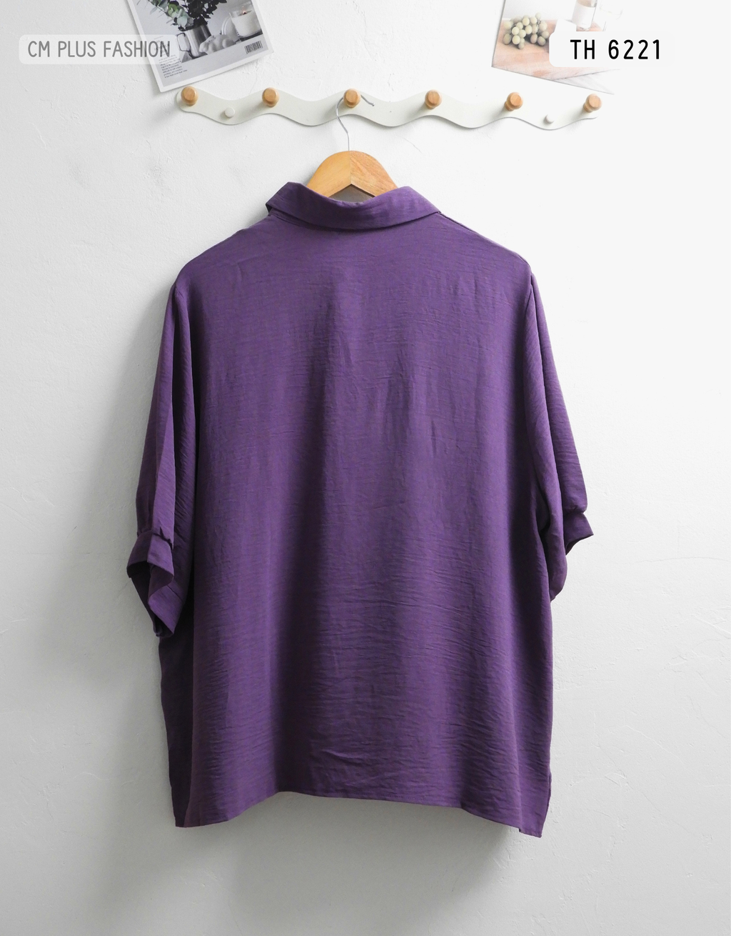 TH 6221 (2)