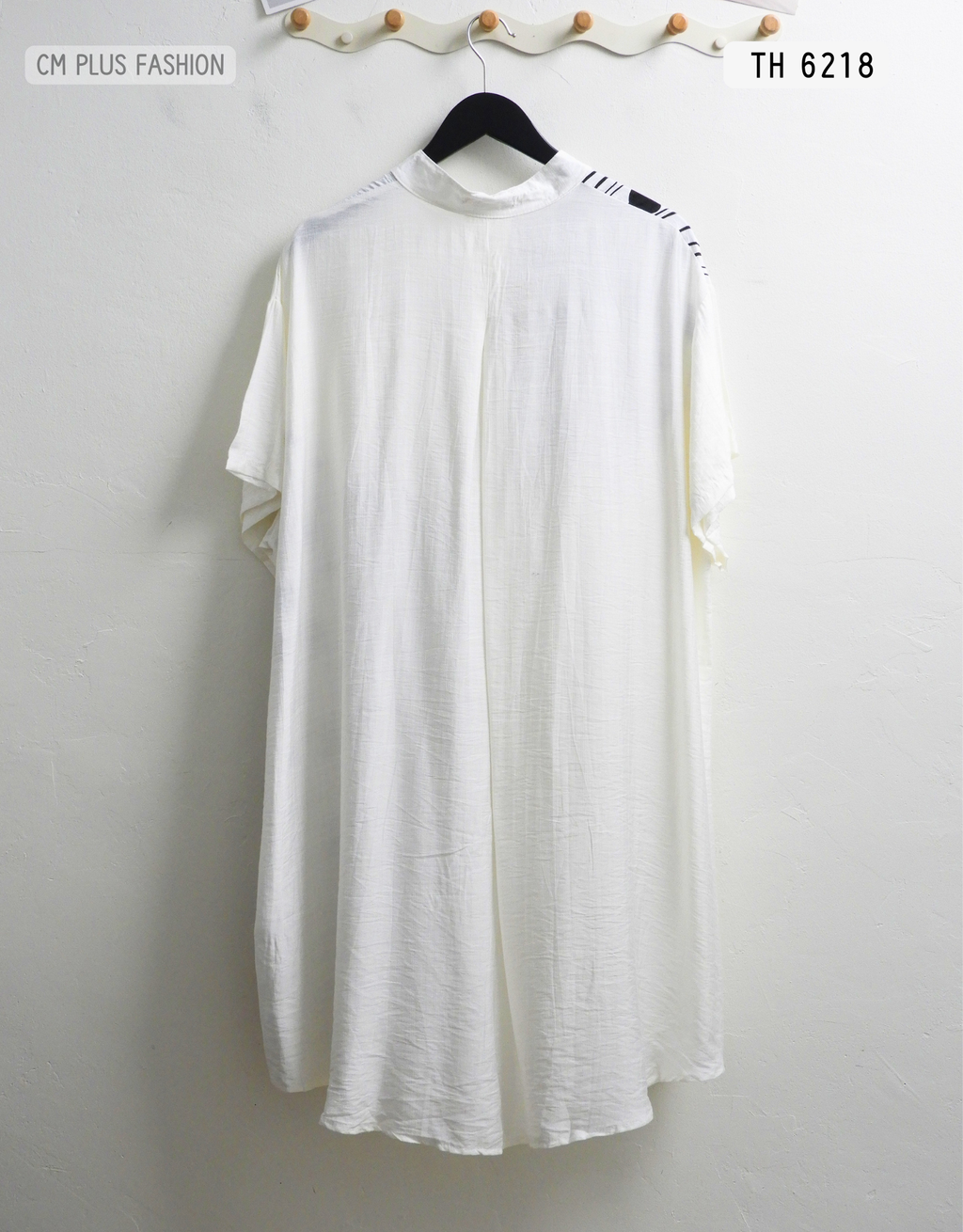 TH 6218 (2)