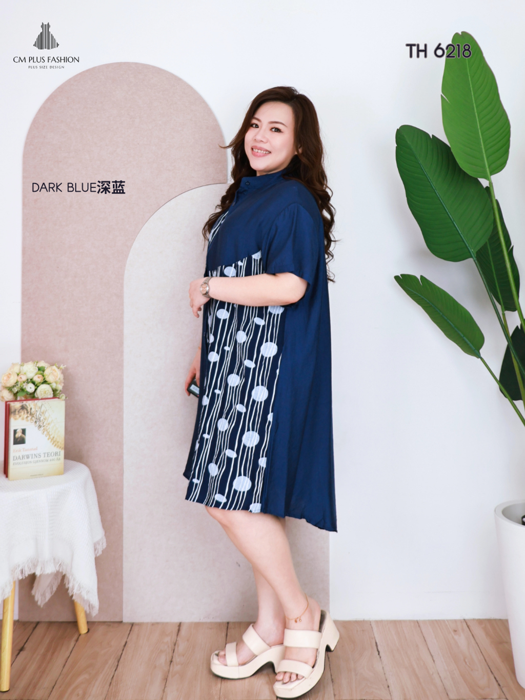 TH 6218z (2)