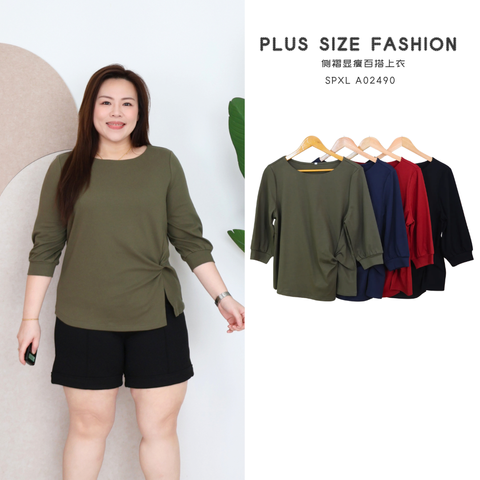 SPXL A02490