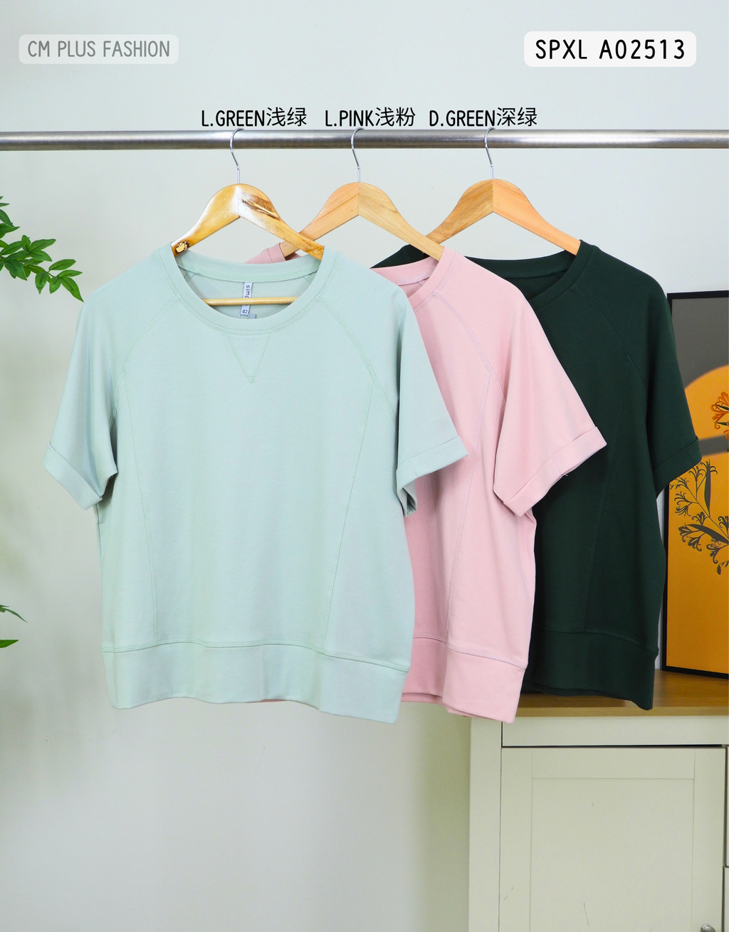 SPXL A02513 (2)