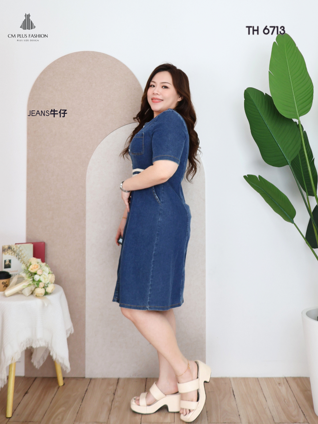 TH 6713z (2)