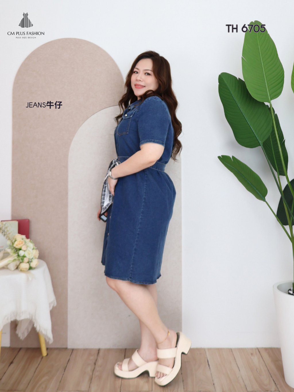 TH 6705z (2)