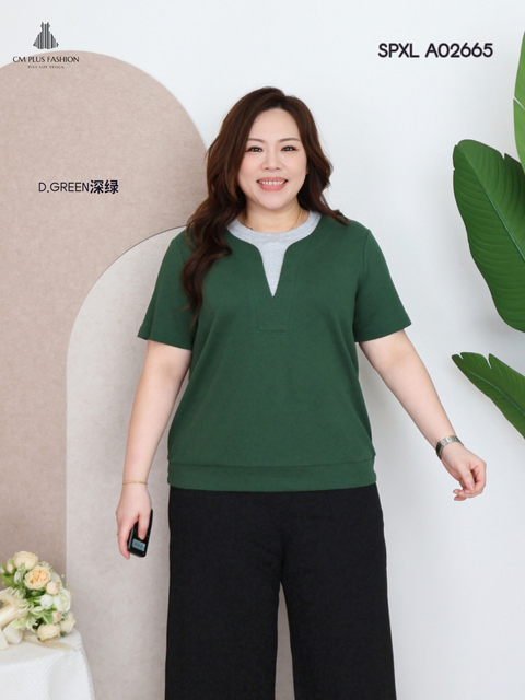 SPXL A02665z (4)
