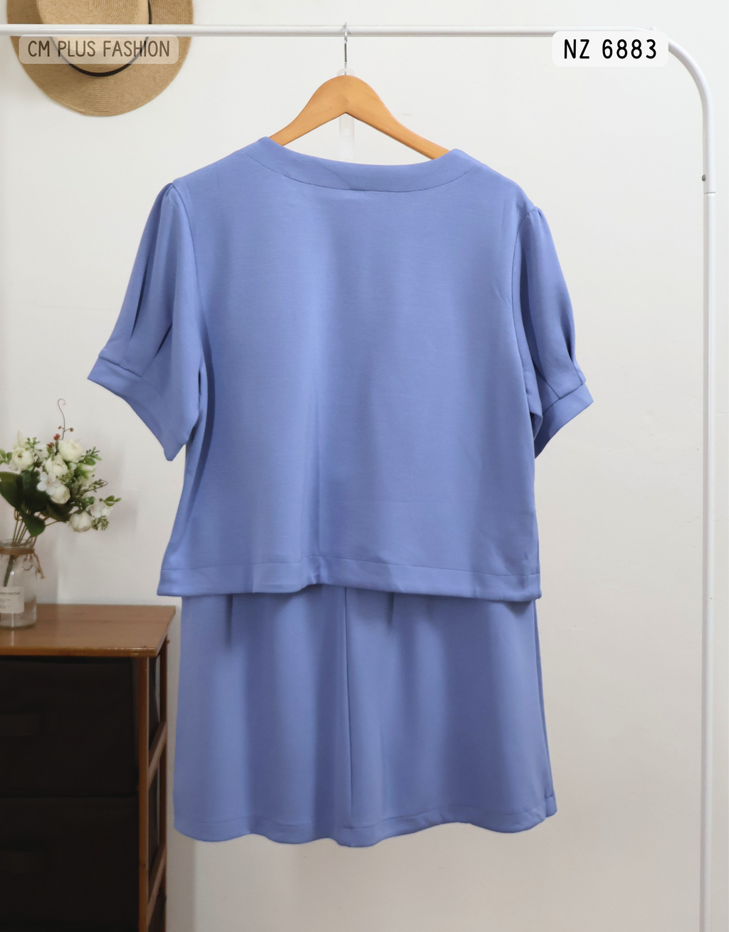 NZ 6883-q (2)