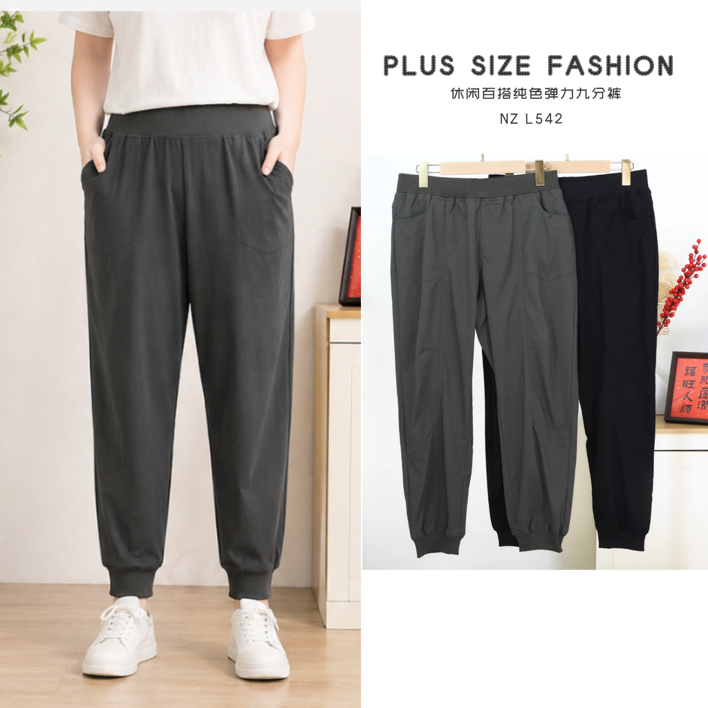 NZ L542-E