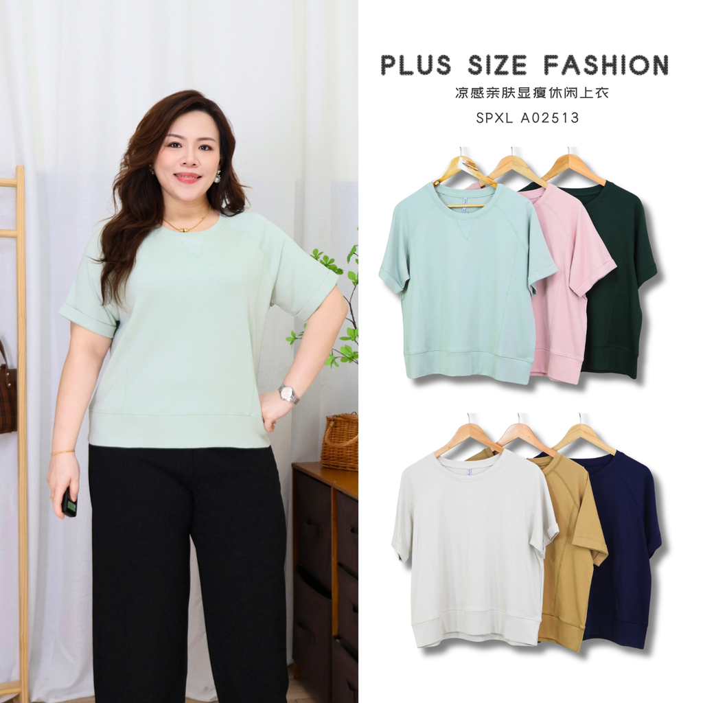 SPXL A02513 (1)