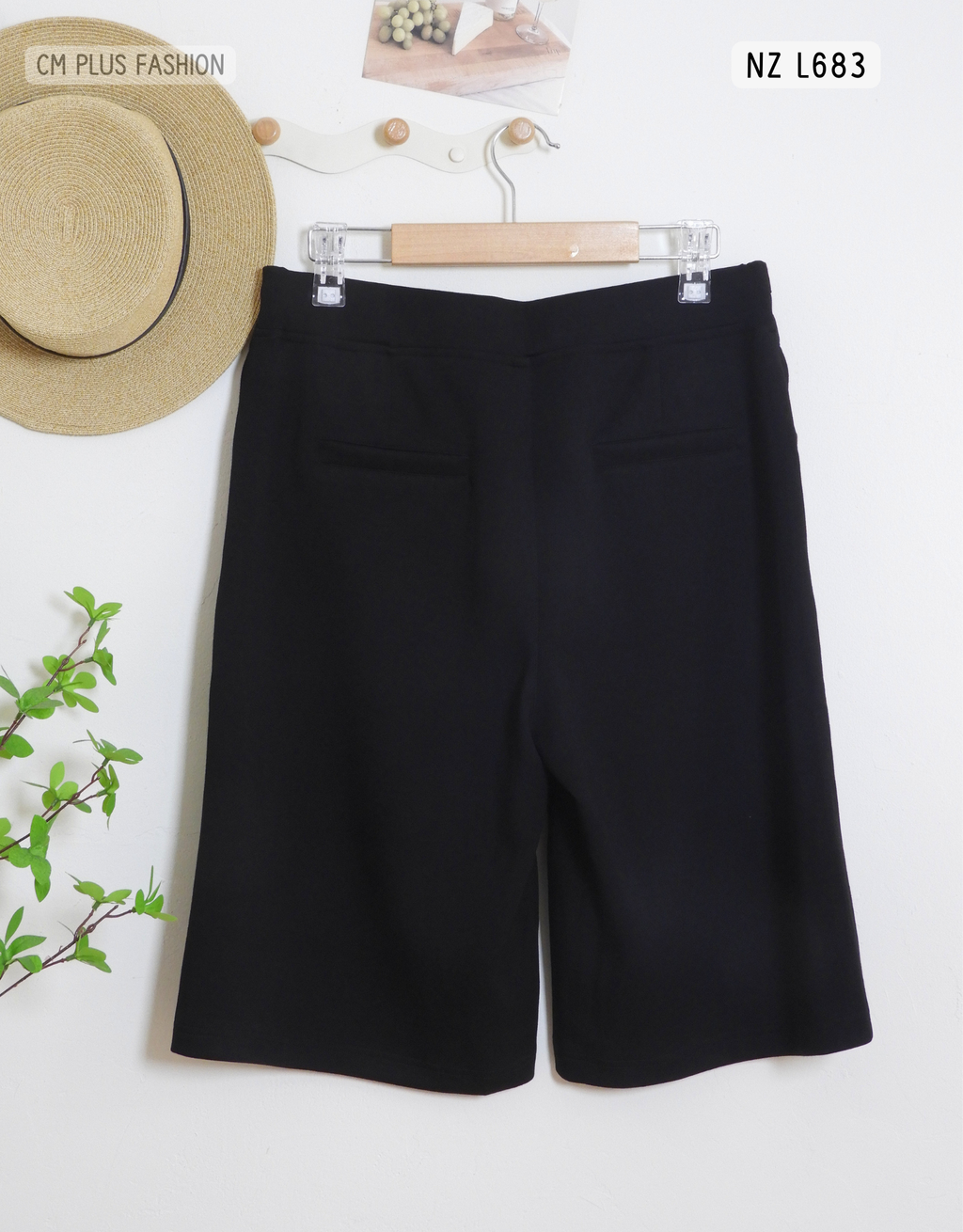 NZ L683 (2)