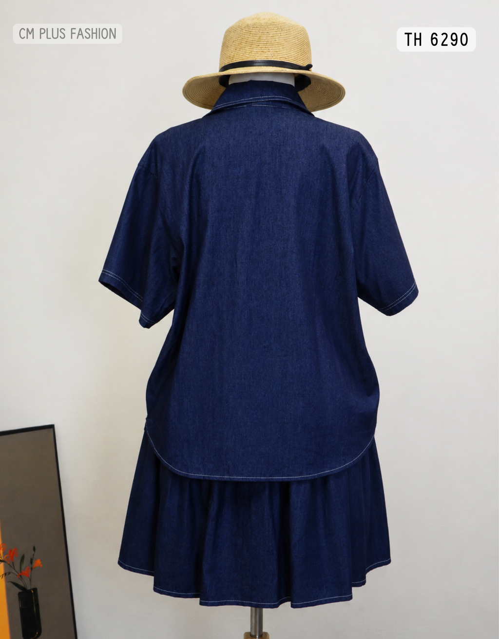 TH 6290 (2)