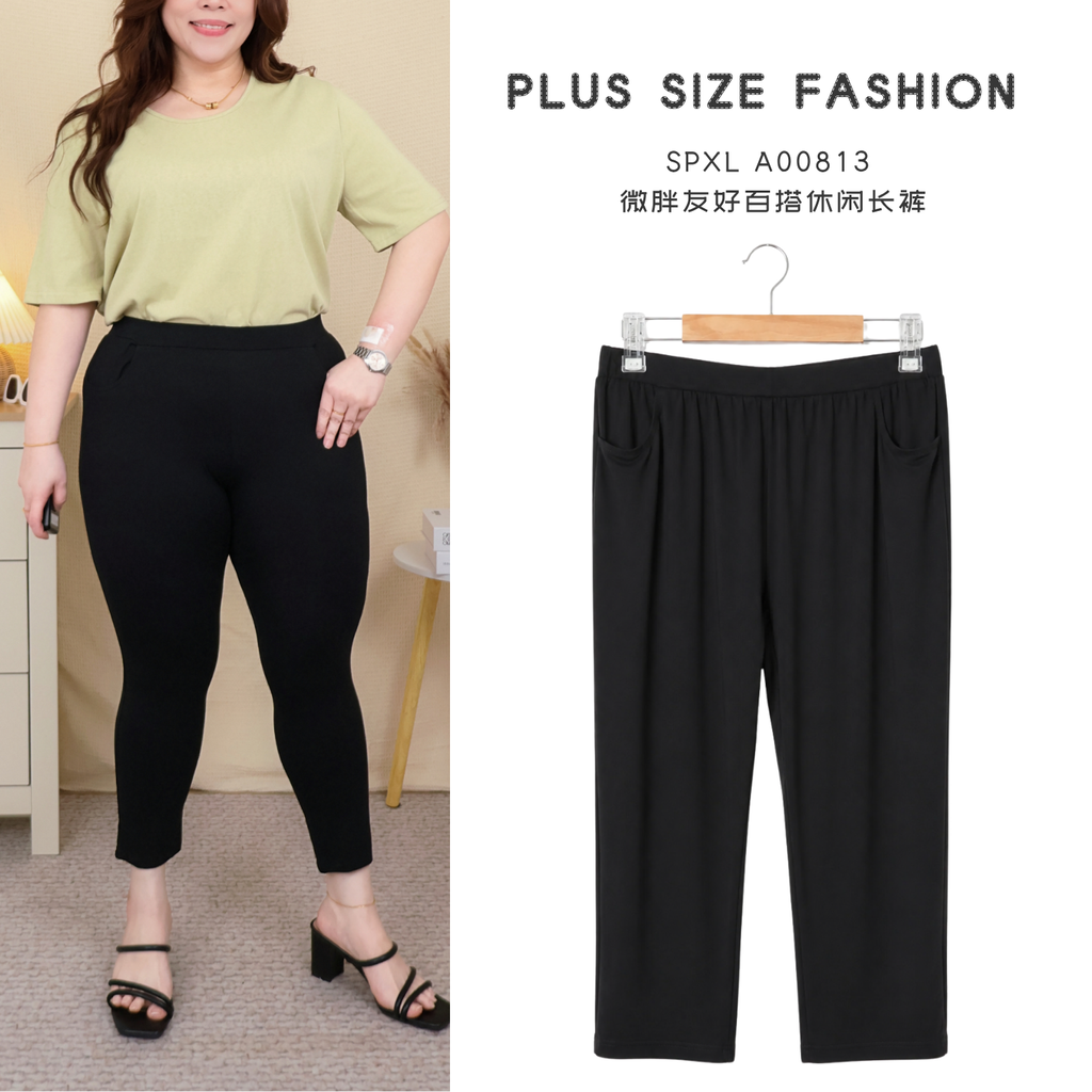 SPXL A00813 (1)