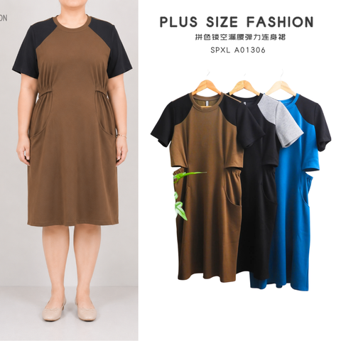 SPXL A01306
