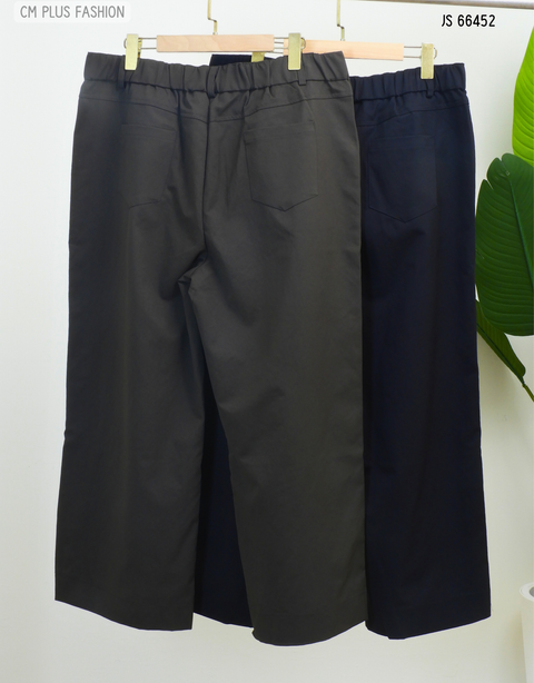 JS 66452-w (2)