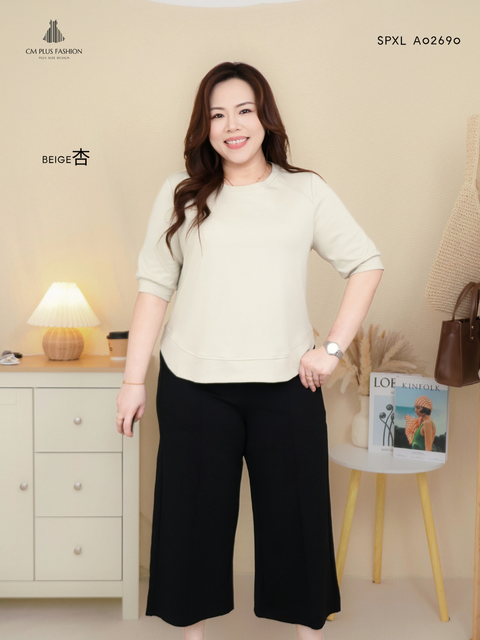 SPXL A02690p (2)