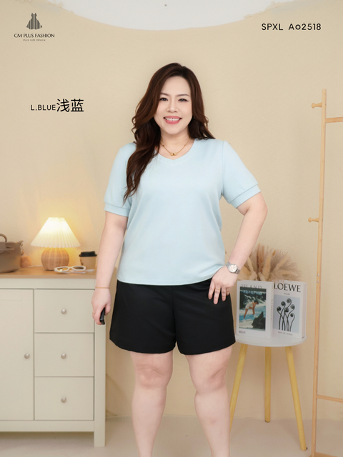 SPXL A02518p (2)