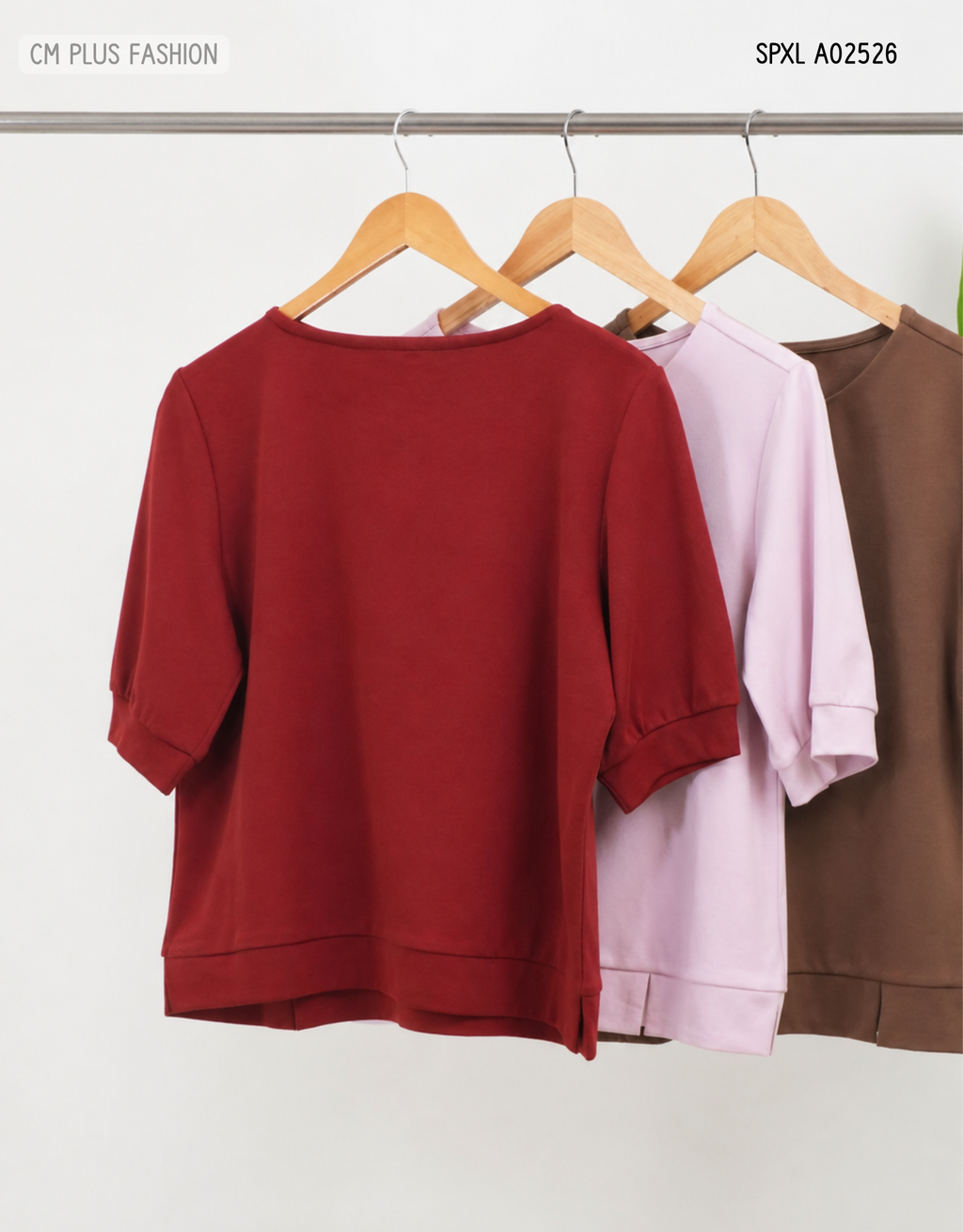 SPXL A02526 (3)