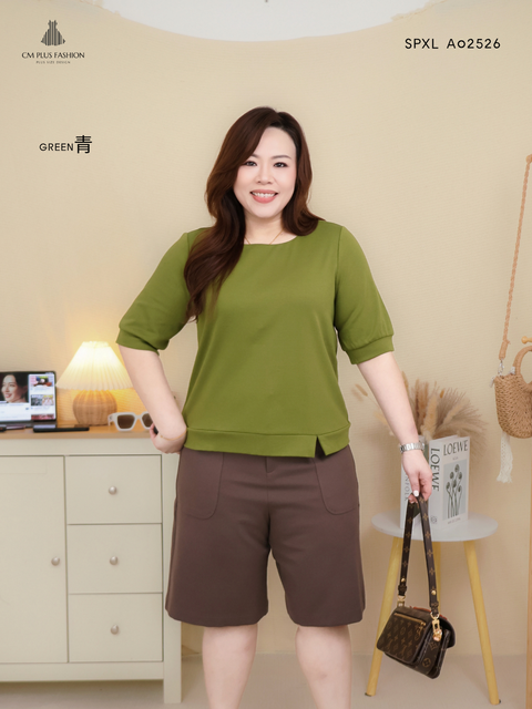 SPXL A02526-E (2)